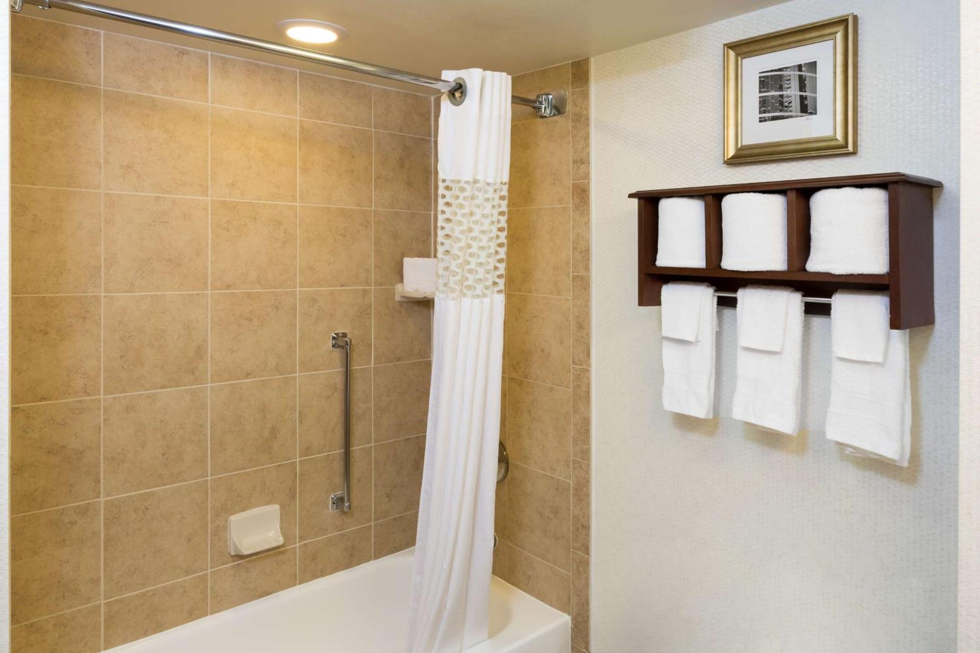 Hampton Inn Houston Near The Galleria Extérieur photo